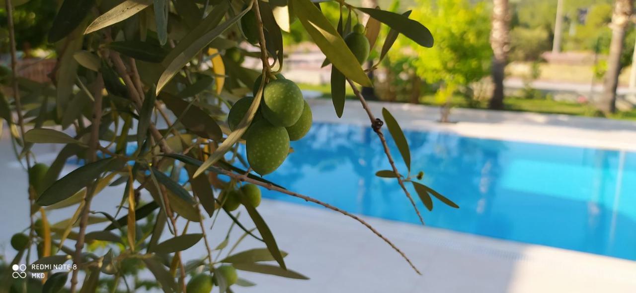 Green Garden Otel เกเมร์ ภายนอก รูปภาพ