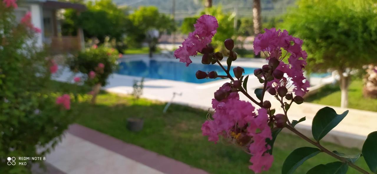 Green Garden Otel เกเมร์ ภายนอก รูปภาพ
